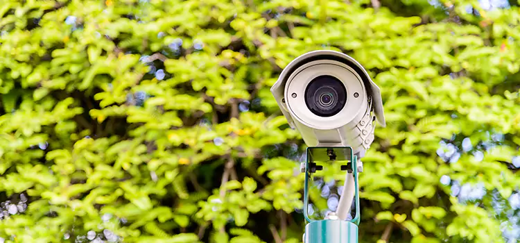 Advanced Surveillance Solutions for Every Need in Cloverleaf