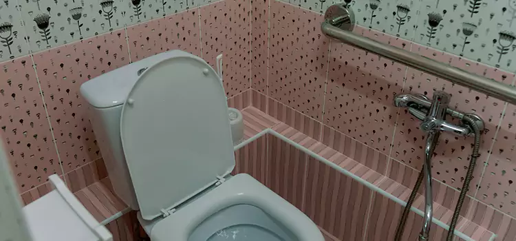 Meeting Diverse Needs With Accessible Restroom Solutions in Cloverleaf, TX