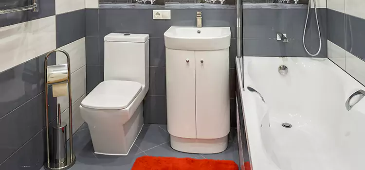 Hansgrohe Shaving Mirror Cloverleaf