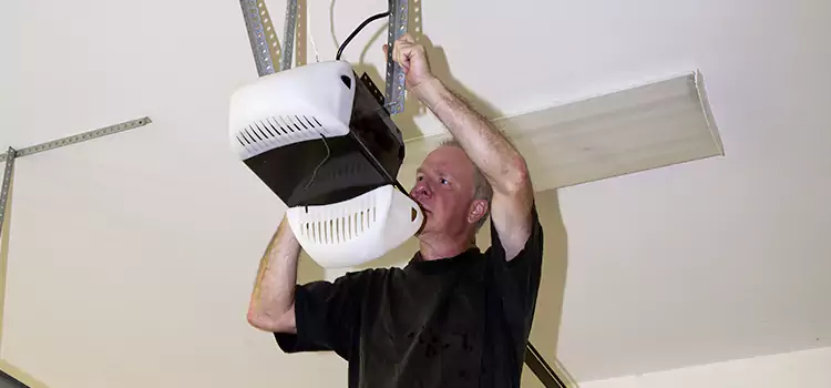 Garage Door Opener Service Cloverleaf